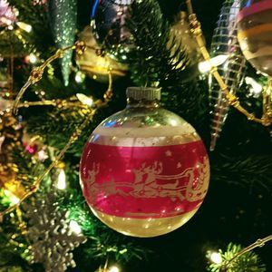 Meet your Posher, Toni